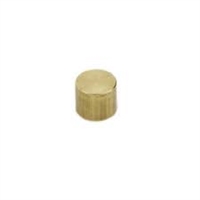 Ammco Brass Plug 5/16"